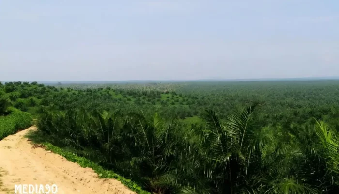 Tuntutan Warga Natar Diperdengarkan: Mahkamah Agung RI Menetapkan PTPN VII Sebagai Pemilik Sah 75 Ha Lahan di Sidosari