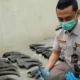 Dikirim ke Tangerang, Penyelundupan 70 Tanduk Kerbau Ilegal Digagalkan Balai Karantina Lampung di Bakauheni