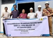 PLN Dorong Pertumbuhan Industri di Lampung dengan Sambungan Listrik Baru ke PT Cangu Coco Liz