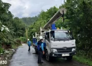 PLN Cepat Tanggap: Kelistrikan Kembali Normal di Suoh Lampung Barat Pasca Longsor