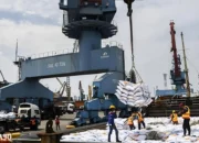 Harga Beras Vietnam Memuncaki Pasar Global dengan Kenaikan US$3-8 per Ton