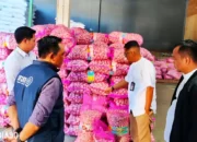 Masih Mahal Sejak Lebaran, KPPU Inspeksi Distribusi Bawang Putih di Lampung: Ini Hasilnya