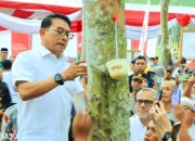 Tinjauan Kepala Staf Kepresidenan Terhadap Uji Coba Teknologi Sadap Karet di Tulang Bawang Barat