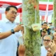 Kepala Staf Kepresidenan Tinjau Uji Coba Teknologi Sadap Karet di Tulang Bawang Barat