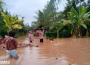 Tragedi Banjir: Kiriman dari Tanggamus, Puluhan Rumah Ambarawa Pringsewu Terendam, Satu Bedeng Hanyut