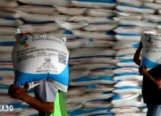 Kuota Pupuk Subsidi 2024: Lampung Jadi Urutan Empat Terbanyak, Dapatkan 9,55 Juta Ton