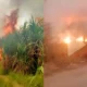Langgar Hukum dan Ganggu Kesehatan Warga, KLHK Minta Pemprov Lampung Cabut Aturan Panen Tebu Bakar