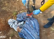 Terselubung Misteri: Mayat Pria Dengan Leher Hampir Putus Ditemukan Terbungkus Sarung