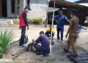 Mesuji Memperketat Kampanye Fogging untuk Menekan Lonjakan Kasus DBD