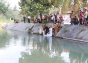 Tambak Ikan Pesawaran Dijamu dengan Puluhan Ribu Benih Oleh Pemprov Lampung