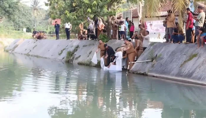 Tambak Ikan Pesawaran Dijamu dengan Puluhan Ribu Benih Oleh Pemprov Lampung