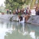 Pemprov Lampung Restocking Puluhan Ribu Benih Ikan di Pesawaran