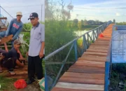 Transformasi Akses: Kampung Bumi Dipasena Agung Tingkatkan Mobilitas dengan Renovasi 12 Jembatan Kayu di Areal Tambak