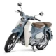 Punya Warna Baru, Segini Harga Honda Super Cub C125