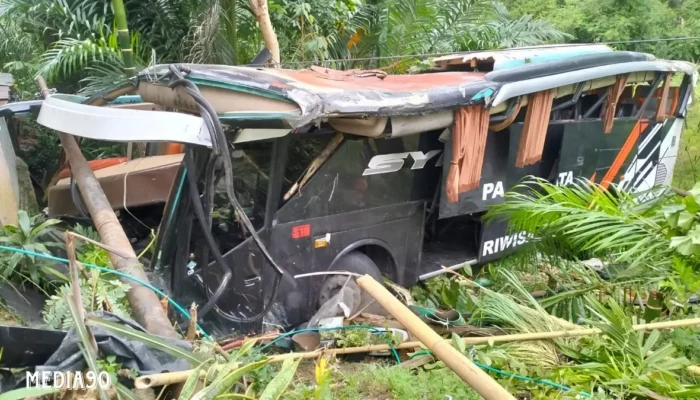 Tergelincir Tragis: Bus Studi Tour Pelajar MIN 1 Pesisir Barat Jatuh ke Jurang Sedayu Tanggamus