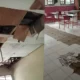 Selain di Tanjung Bintang, Dua SD Negeri di Tanjung Sari Lampung Selatan Juga Rusak Parah, Atap dan Lantai Jebol