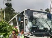 Tragedi di Balik Kabut: Bus Ranau Indah Terperosok ke Jurang 50 Meter di Jalan Lintas Liwa