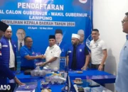 Langkah Pertama Irfan Nuranda Djafar Menuju Panggung Politik Lampung: Daftar Penjaringan Calon Wakil Gubernur di PAN