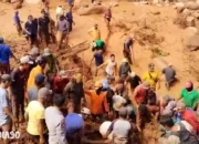 Korban Longsor di Perkebunan Saung Naga Ulu Belu Tanggamus Ditemukan Meninggal oleh Tim Gabungan