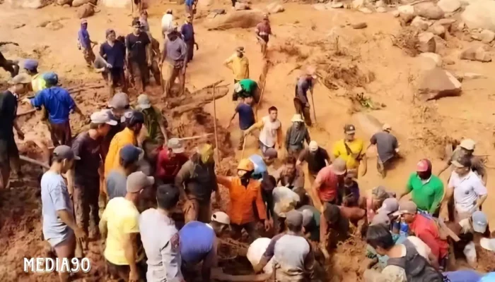 Korban Longsor di Perkebunan Saung Naga Ulu Belu Tanggamus Ditemukan Meninggal oleh Tim Gabungan