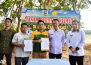 Kedelai Perdana Ditanam di Pesawaran oleh Bupati Dendi dan Kementan RI untuk Meningkatkan Ketahanan Pangan