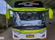 Rekomendasi Travel Jepara Jakarta: Penjadwalan, Harga, dan Fasilitas Travel
