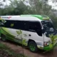 Travel Pacitan Surabaya PP (Harga, Jadwal, Fasilitas)