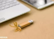 Kenapa Beberapa Orang Lebih Memilih Menyimpan Data di Flash Drive Ketimbang Cloud: 4 Alasan Utamanya