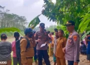 Tragedi Sungai Semaka Tanggamus: Buaya Serang Dua Wanita, Satu Hilang Satu Luka