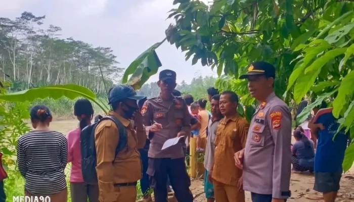 Tragedi Sungai Semaka Tanggamus: Buaya Serang Dua Wanita, Satu Hilang Satu Luka