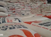 Bulog Lampung Laporkan Penyerapan 26 Ribu Ton Gabah Petani