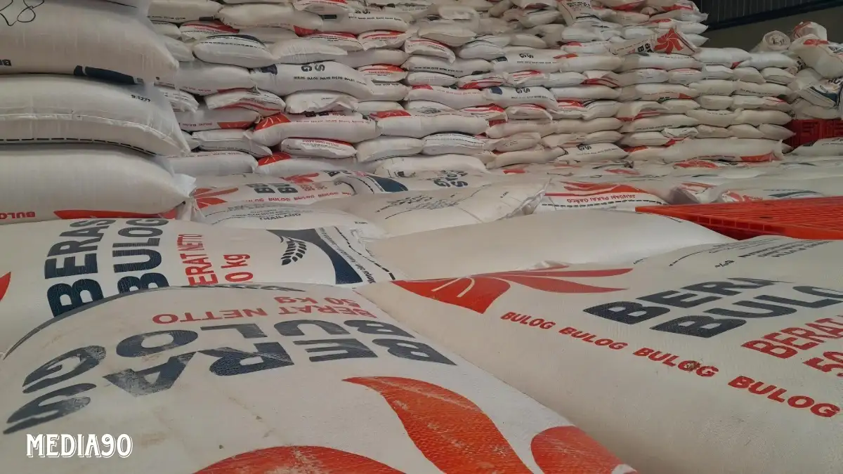 Bulog Lampung Klaim Serapan Panen Gabah Petani Capai 26 Ribu Ton