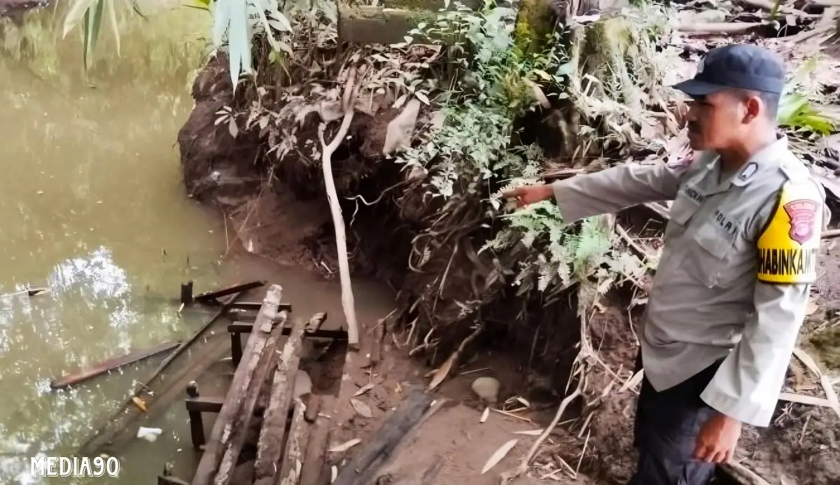 Cuci Baju di Pinggir Sungai Banjar Negoro Wonosobo Tanggamus, Buaya Terkam Wanita ini Hingga Luka