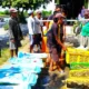Dana Desa Bantu Petambak 1,8 Juta Benur Udang Vanamei, 95% Berhasil Panen di Bumi Dipasena Abadi Tulang Bawang