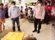 Pria Tanpa Identitas Ditemukan Meninggal di Pinggir Jalan Ahmad Yani, Sidoharjo, Pringsewu: Diduga Mengalami Gangguan Jiwa, Ini Cirinya