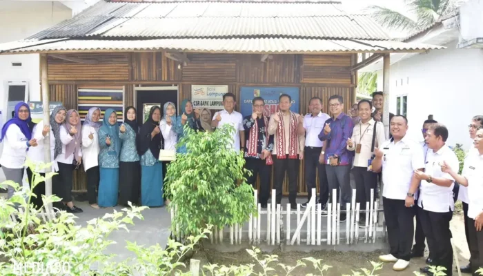 Verifikasi Lapangan Rumah Dataku 2024 di Pulung Kencana oleh Direktorat BKKBN RI: Harapan Pj Bupati Tubaba