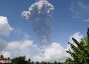 Gunung Ibu Beraksi: Abu Vulkanik Tersebar Hingga 5 Kilometer