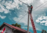 Kegelapan Melanda Lubuk Linggau – Lahat Selama Hampir 24 Jam, PLN: Hanya 16% Lampung Kembali Terang