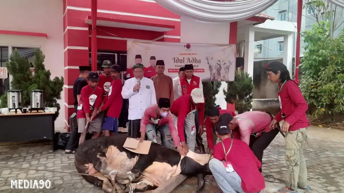 Ingin Jadi Partai Mabrur, PDIP Lampung Kurbankan 10 Sapi di Iduladha 1445 Hijriah