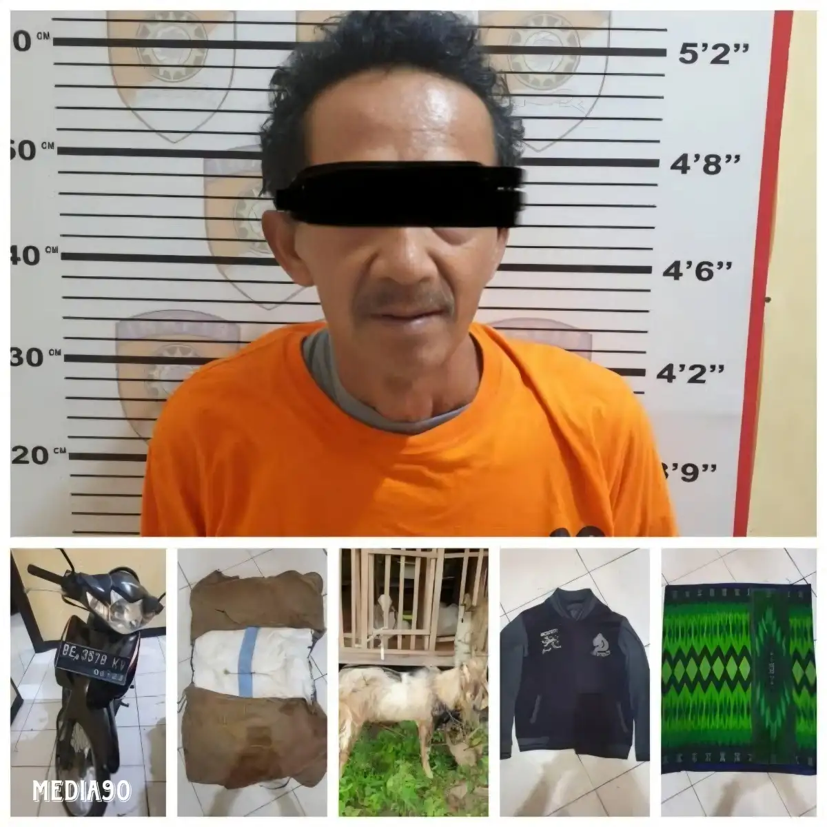 Jelang Iduladha, Kakek di Metro Utara ini Nekat Curi Kambing di Hadimulyo Barat