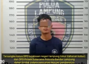 Polda Lampung Berhasil Menangkap Buronan Kejari Lampung Timur yang Kabur dari Lapas Terkait Kasus Sajam dan Pencurian Motor