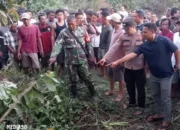 Kriminolog Jelaskan Alasan Kasus Pembunuhan Siswi SMK di Mesuji Belum Terpecahkan