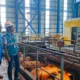 Kunjungi PLTU Tarahan dan Sebalang, General Manajer PLN Pastikan Listrik Andal di Lampung Pasca Gangguan Sutet