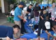 Ratusan Hewan Kurban di Metro Terjangkit Penyakit Menjelang Lebaran Iduladha 2024, Temuan Dinas DKP3