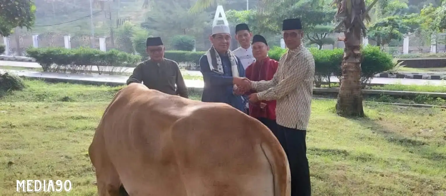 Lebaran Iduladha 2024, Pemkab Lampung Selatan Kurbankan 39 Sapi dan Dua Kambing ke Masyarakat