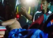 Tragis! Diterkam Buaya Saat Mancing Ikan di Kanal, Petambak Bumi Dipasena Jaya Alami Luka Parah