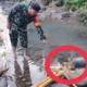 Mayat Bayi Laki-Laki Ditemukan Warga di Aliran Sungai Sukarame 2 Bandar Lampung