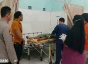 Tragedi di Kebun: Pria Dadirejo Wonosobo Tergantung di Pohon