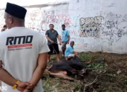 Partai Gerindra Lampung Gelar Aksi Bagi Berkah: Daging Kurban untuk Warga!
