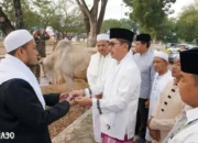 Persiapan Pemkab Lampung Selatan untuk Kurban: Siapkan 39 Ekor Sapi